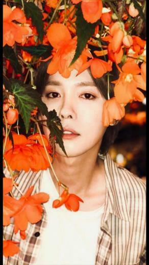 Kim Jinwoo Winner Jinu Wallpaper In