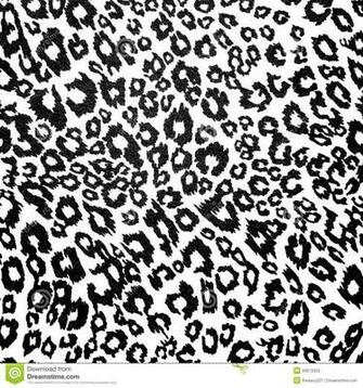 Black And White Leopard Wallpaper Animal Pattern