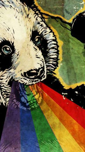 Panda iPhone Wallpaper