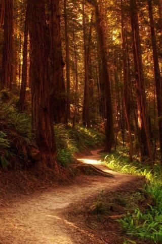 Beautiful Places You Have To See On Your Summer Roadtrip