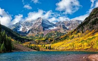 Best Aspens Wallpaper