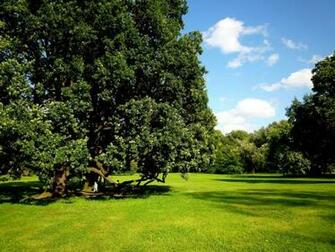 At Czech Republic Wallpaper In Nature With All Resolutions