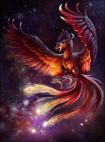 Phoenix Wallpaper Artwork