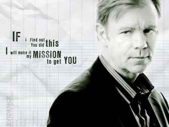 Horatio Caine David Caruso Wallpaper