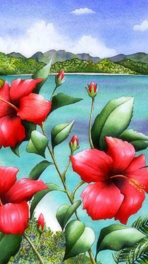 Hummingbirds Red Hibiscus Desktop Pc And Mac Wallpaper
