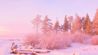 Light Pink Aesthetic Pictures Wallpaper