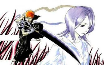 Bleach Ichigo And Rukia HDq Wallpaper
