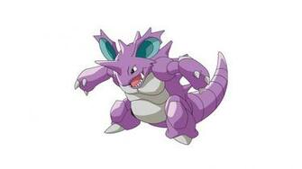 Nidoking Pokemon Family Image