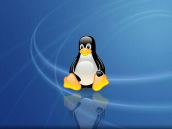 Window Linux Wallpaper Pack Cute Girls Celebrity