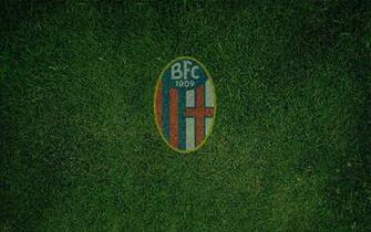 Bologna F C HD Wallpaper Background Image Id