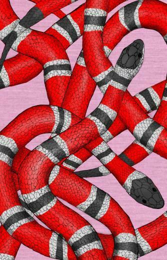 Rode Slang Wallpaper Verwisselbare Verwisselbaar Gucci