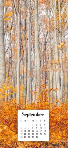 September Calendar Wallpaper Best Desktop Phone Background
