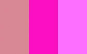 Blush Shocking Pink And Crayola Three Color Background