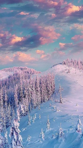 Enjoying The Beauty Of Winter Wallpaper