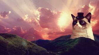 Grumpy Wallpaper