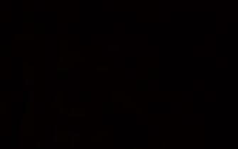 Black Dog Wallpaper S Dark Solid
