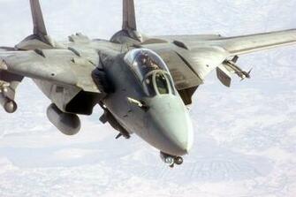 Tomcat HD Wallpaper Pictures