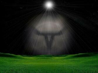 Image On Heart Longhorn Wallpaper