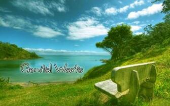Genital Warts Cynical Wallpaper By Losangeleslovesme
