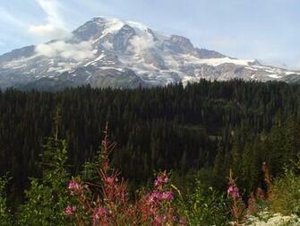 Mt Rainier Wallpaper Desktop Background Digital Image