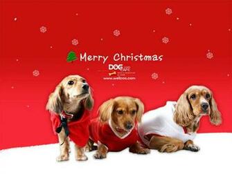 Christmas Dog Wallpaper