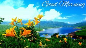 Yellow Flower Good Morning Wallpaper Baltana