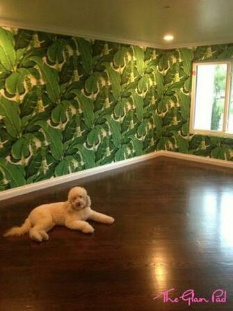 Home A Brief Update The Glam Pad Wallpaper Paint Fabric