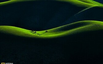 In Early Spring Landscape Wallpaper