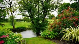 Bloom Blooming Country Countryside Daylight England