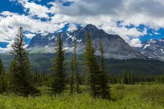 Glacier Montana Mountains Forest Clouds Bushes Trees Wallpaper