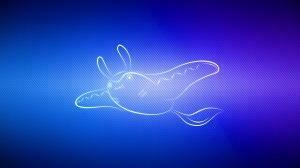 Wallpaper Pokemon Swim Blue Dewgong