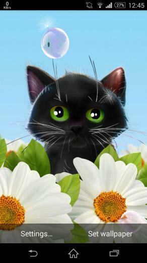 Cute Kitten Live Wallpaper Beautiful With A Pretty