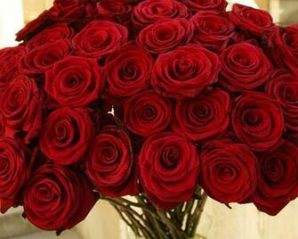 Valentine S Day Red Rose Bouquet HD Desktop Wallpaper Background