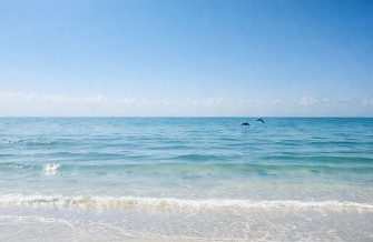 Ocean Live Wallpaper For Windows