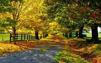 Great Minds Discuss Ideas Autumn Wallpaper For Desktop