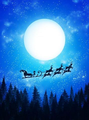 Blue Night Sky Moon Winter Pine Forest Silhouette Starry
