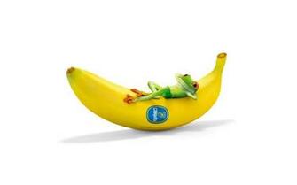 Categories Apple iPad Wallpaper Funny