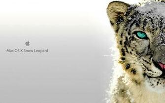 Pics Photos Amazing Snow Leopard Os X Wallpaper