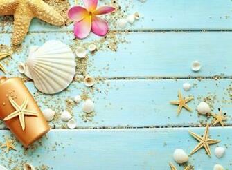 Seashells Wallpaper For Android iPhone And iPad