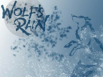 Wallpaper Wolf S Rain Fond D Cran Photos