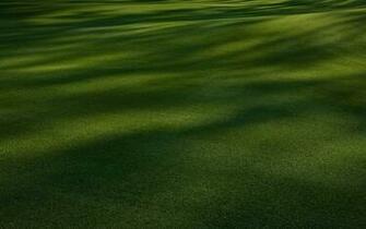 Wallpaper Of Augusta National