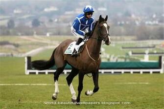 Beautiful Wallpaper Racing Horse