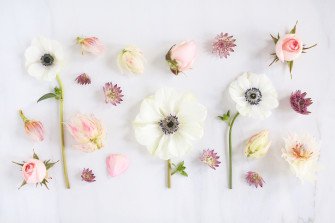 Aesthetic Flower Computer Wallpaper