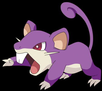 Rattata Full HD Pictures