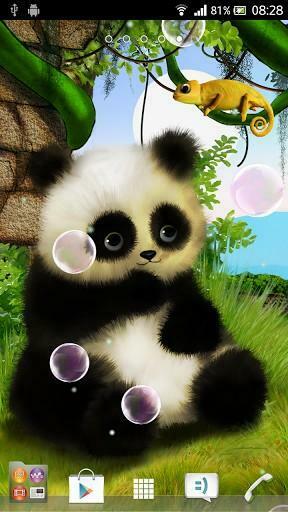 Animated Panda Live Wallpaper For Android By