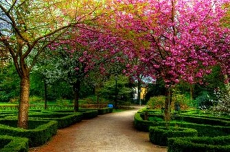 Serene Walkway Wallpaper