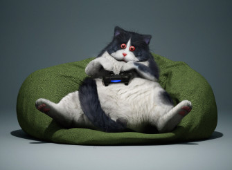 Fantasy Cat HD Wallpaper By Guodong Zhao