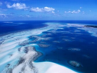 Coral Reef Torres Strait Island Australia Wallpaper