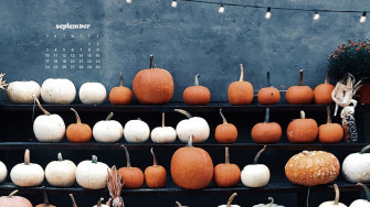 September Wallpaper Bies For Desktop Phones