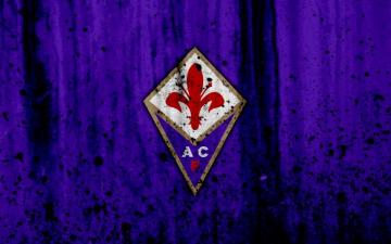 Acf Fiorentina 4k Ultra HD Wallpaper Background Image